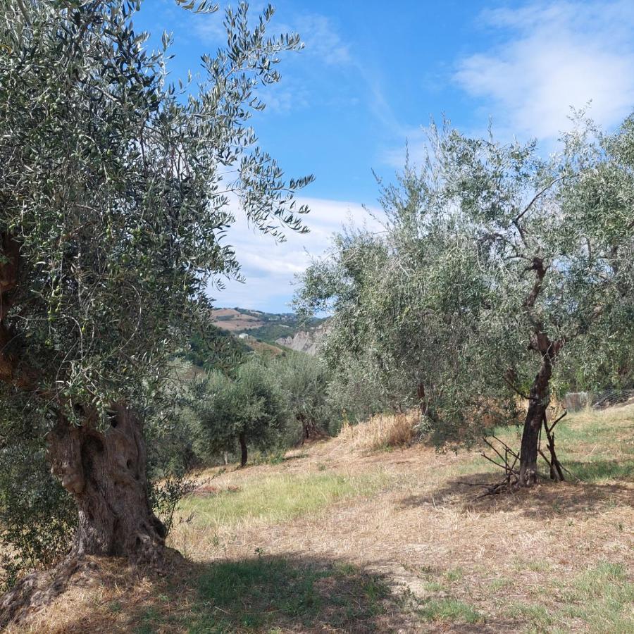 Villa Ferranti Abruzzo Montefino المظهر الخارجي الصورة