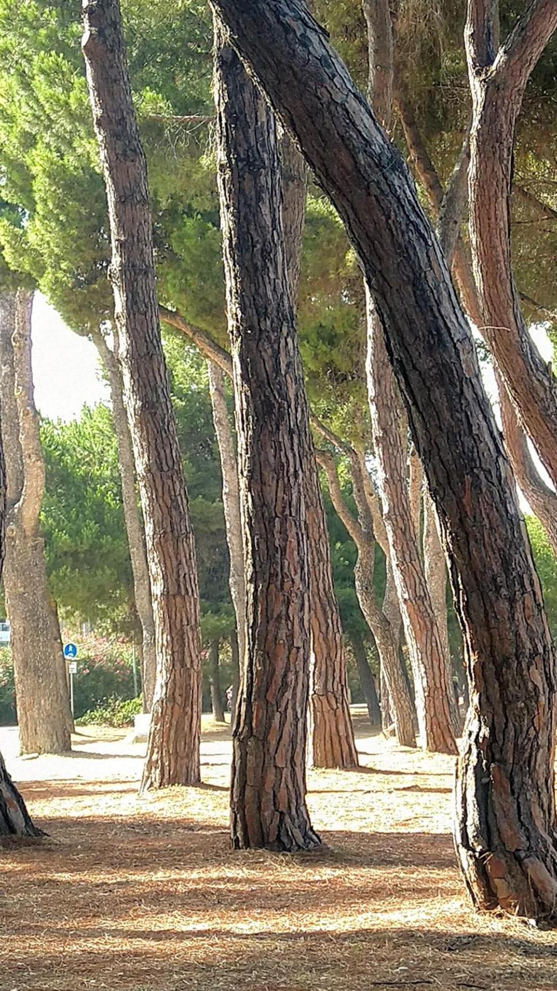 Villa Ferranti Abruzzo Montefino المظهر الخارجي الصورة