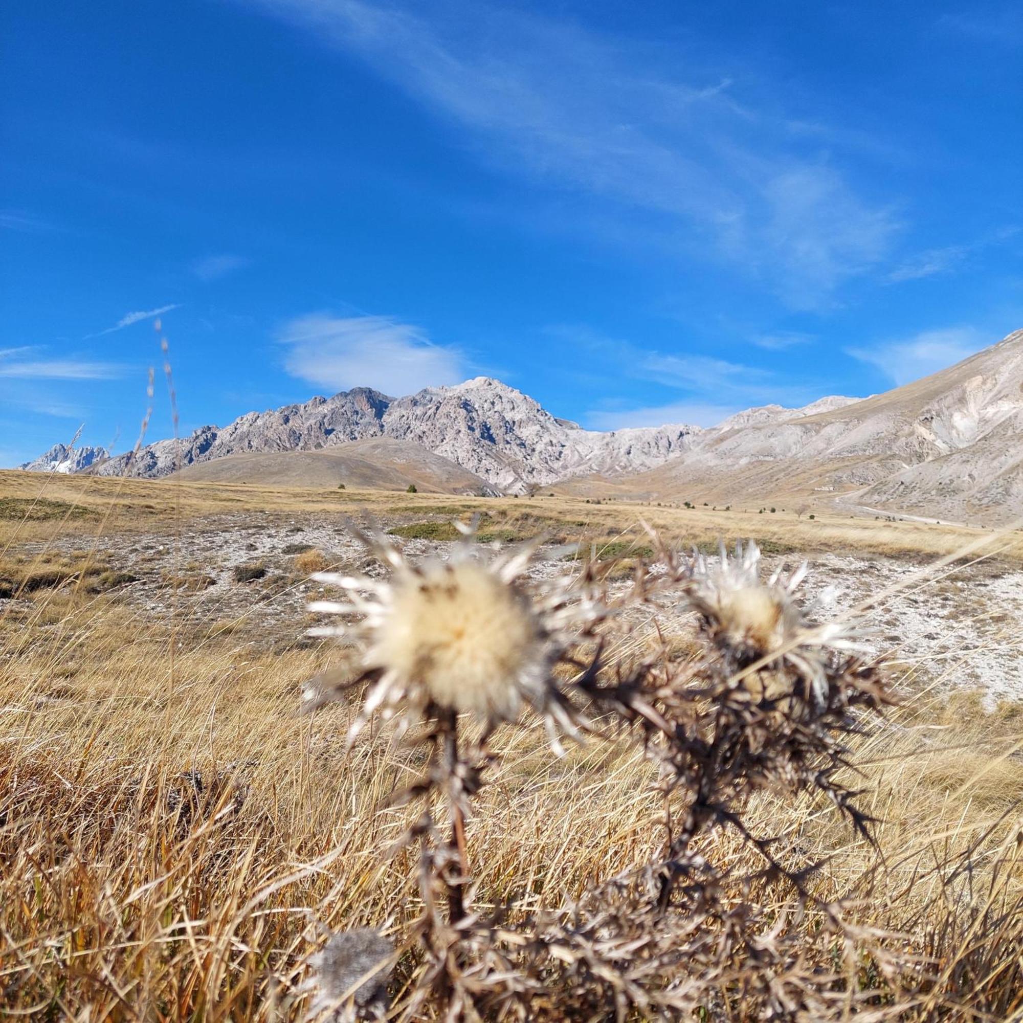 Villa Ferranti Abruzzo Montefino المظهر الخارجي الصورة